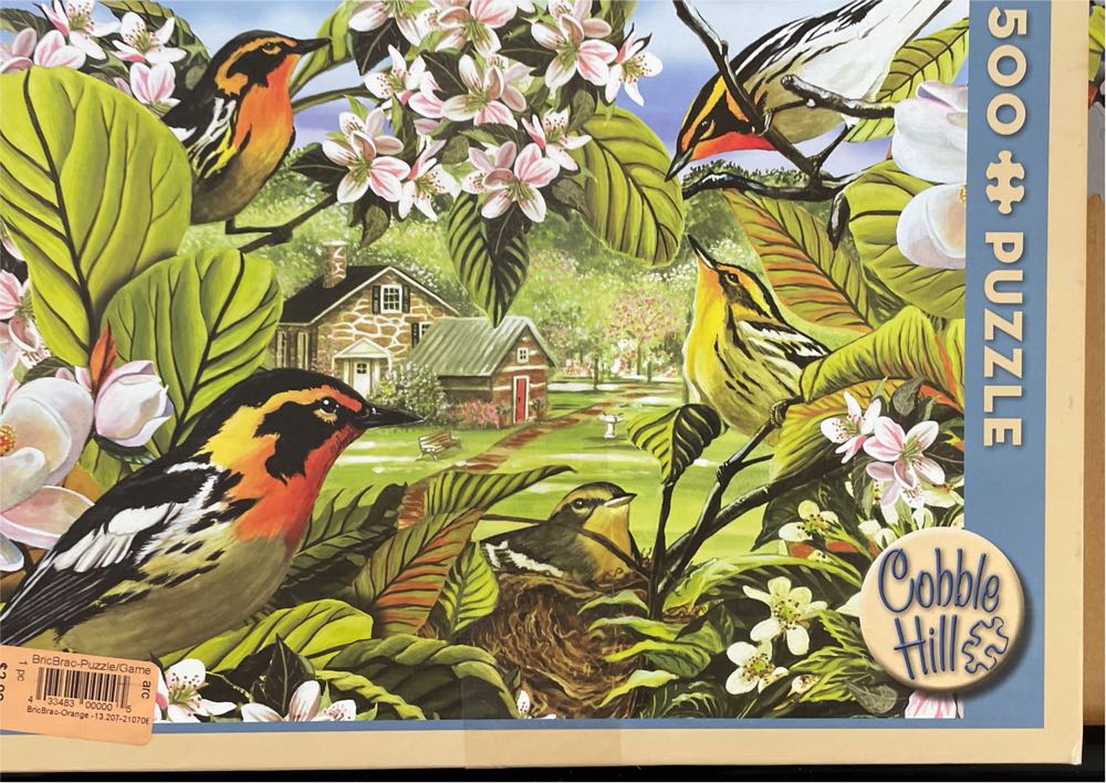 Barack Obama 44th President United States of America