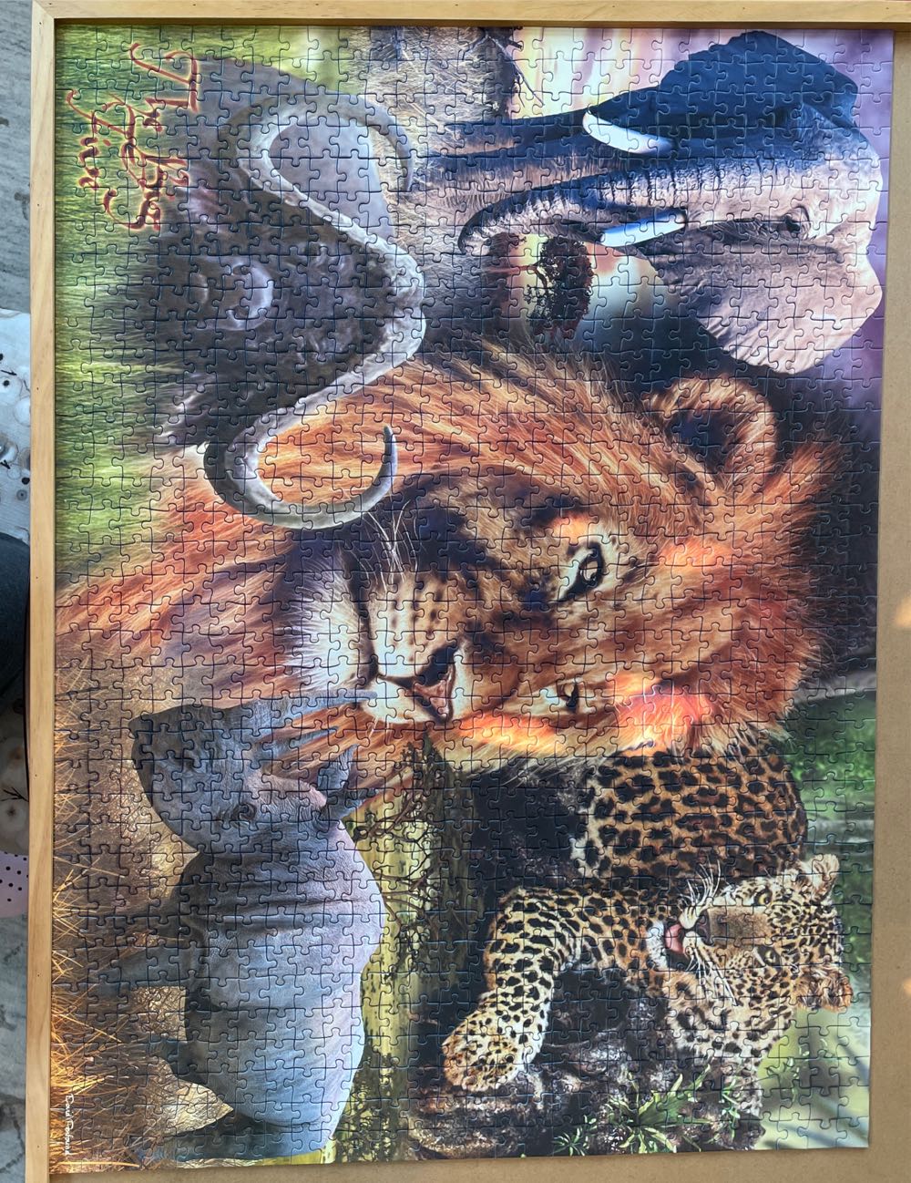 Animals Of Africa - The Big Five - Ravensburger puzzle collectible [Barcode 4005556153619] - Main Image 2