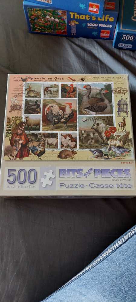 Young Girls At The Piano (1)