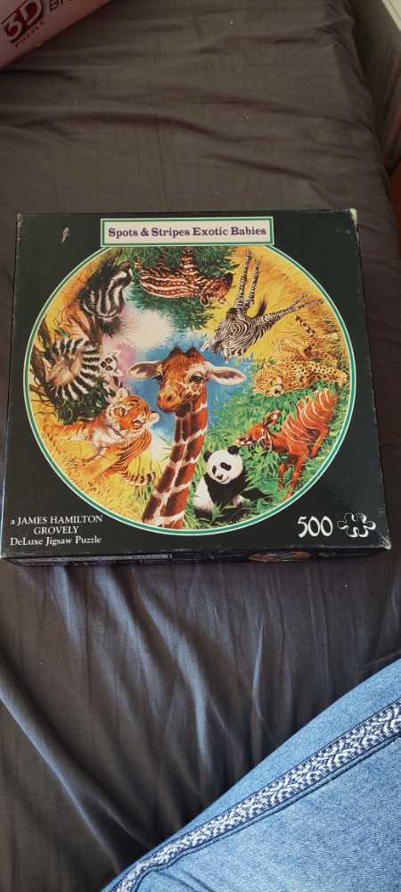 Wasgij- Original 1 Sunday Drivers!