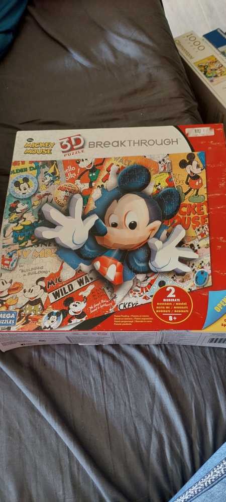 Evening Light On The Sunflowers