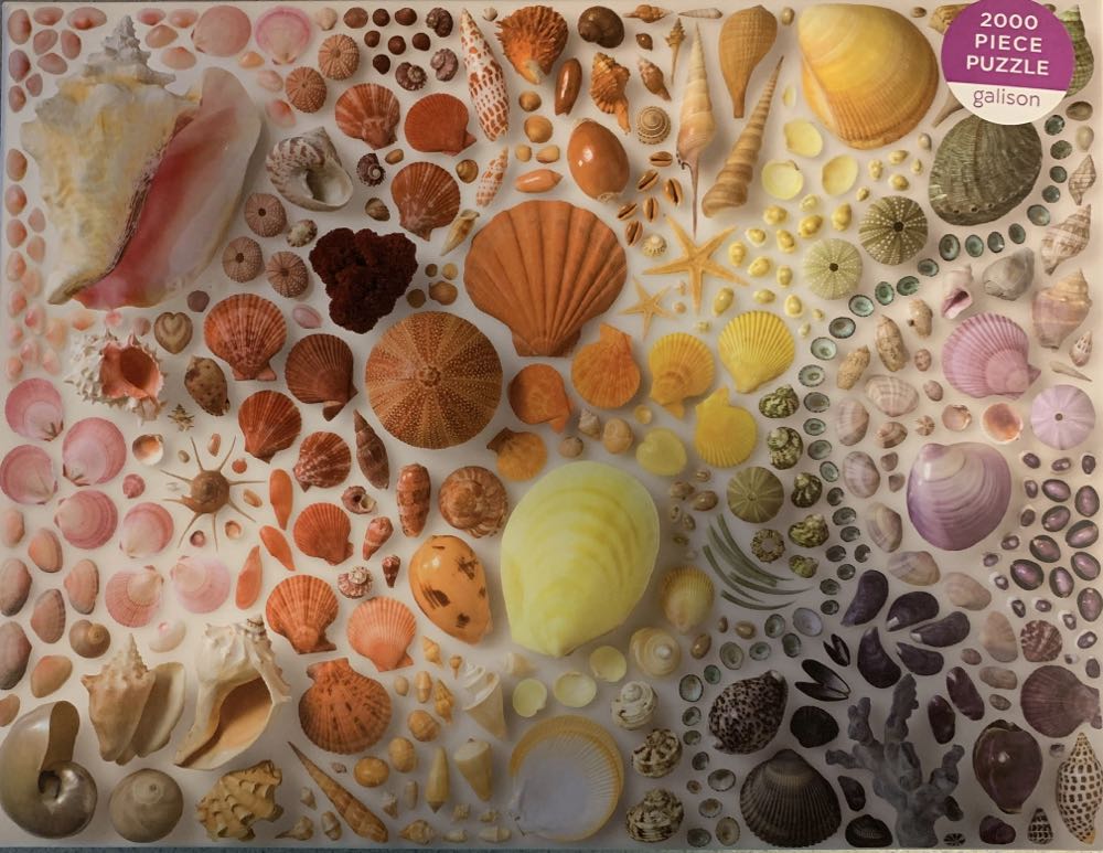 Seashells - Galison puzzle collectible [Barcode 9780735357044] - Main Image 2