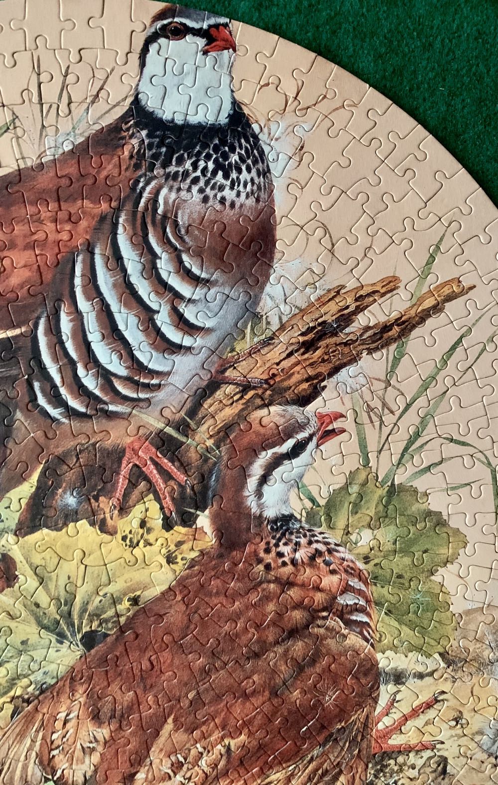 Partridges - Arrow puzzle collectible - Main Image 4