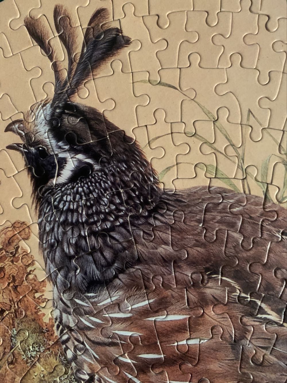 Quail - Arrow Puzzles puzzle collectible - Main Image 4