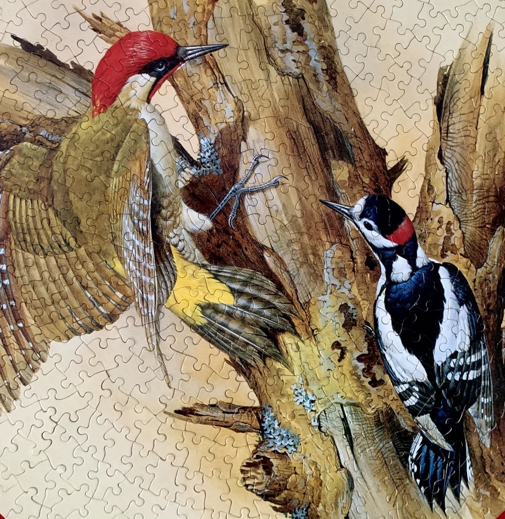 Rhapsody - Woodpeckers - Milton Bradley puzzle collectible - Main Image 4