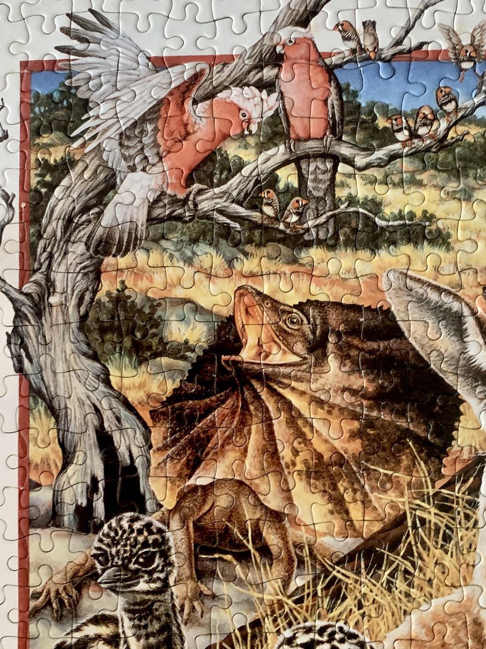 Wild Australians Of The Inland - Endeavour puzzle collectible - Main Image 4