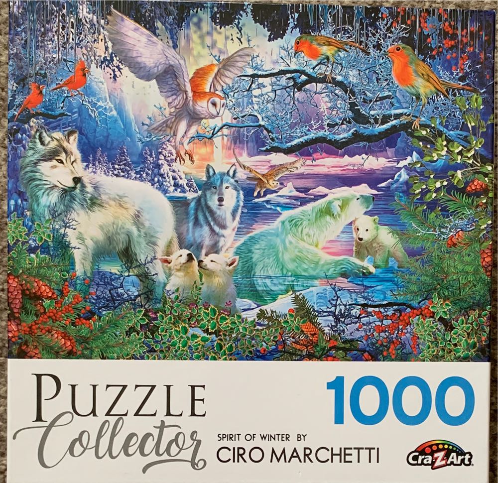 Bottle nose Dolphins