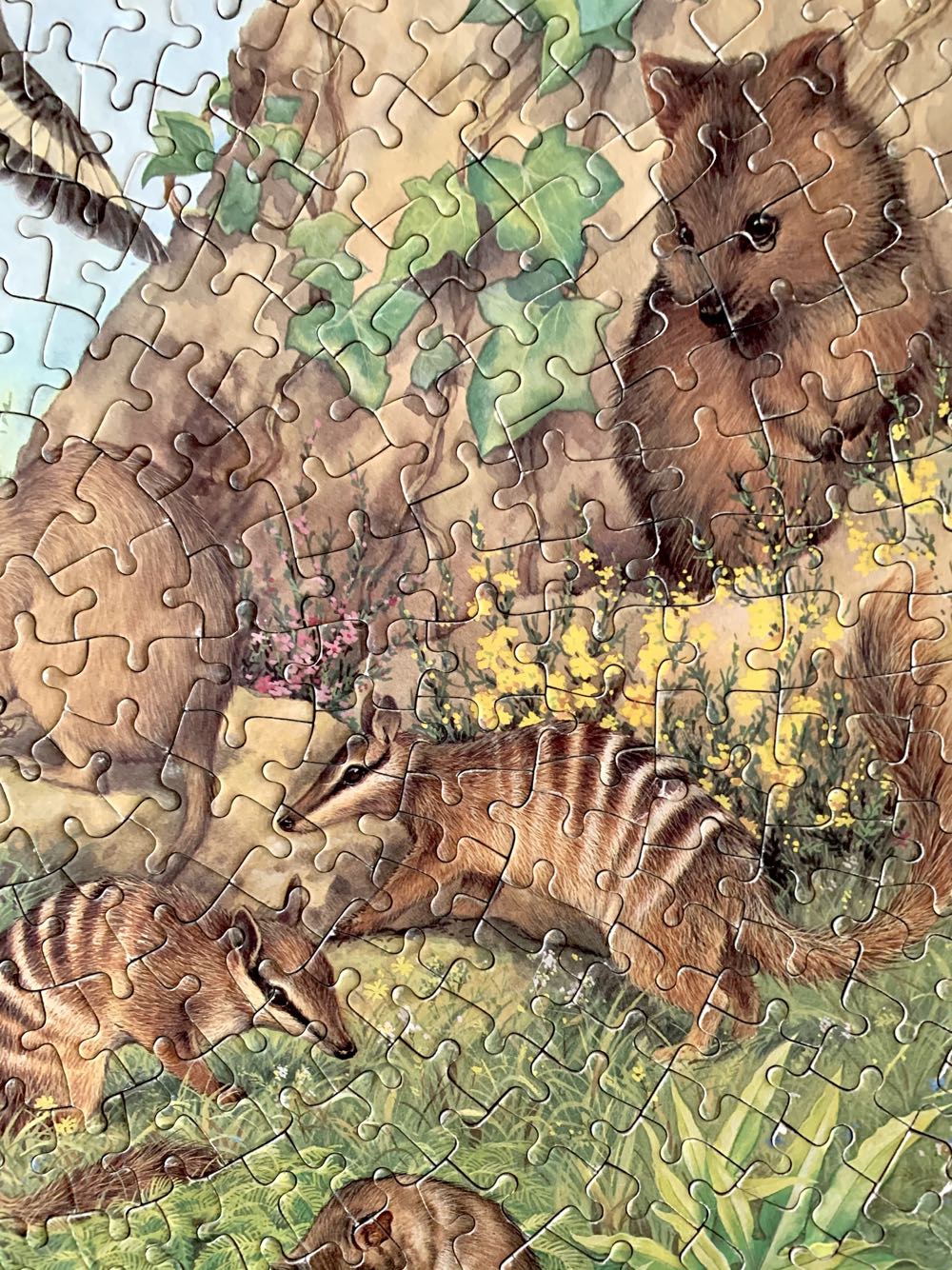 Australian Wildlife - Webb Ivory Company 🇬🇧 puzzle collectible - Main Image 3