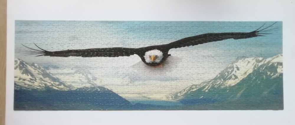 Eagle - Eurographics 🇨🇦 puzzle collectible [Barcode 628136603027] - Main Image 3