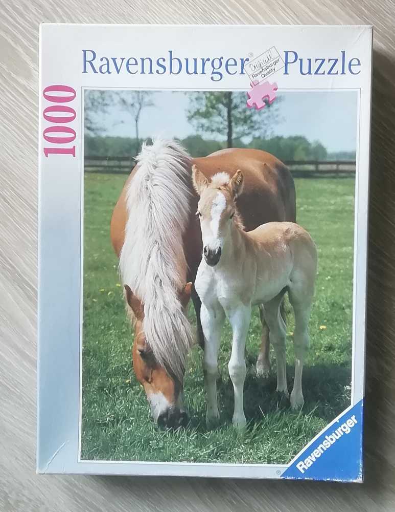 Sunset From Bow Bridge, Central Park