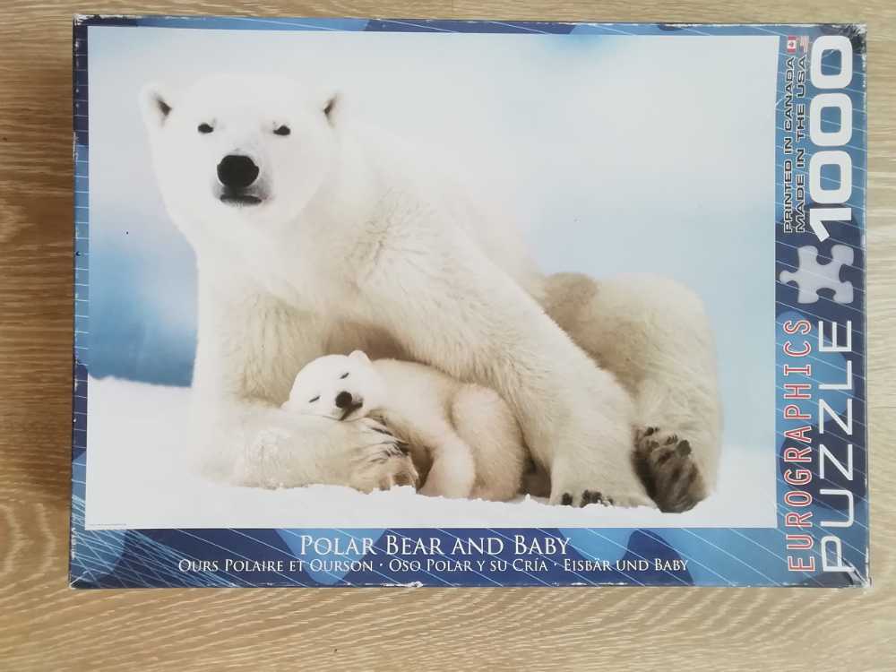 Mists Of Venice 🆕🚪