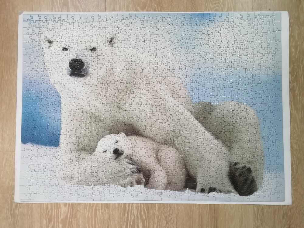 Polar Bear And Baby - Eurographics 🇨🇦 puzzle collectible [Barcode 628136611985] - Main Image 3