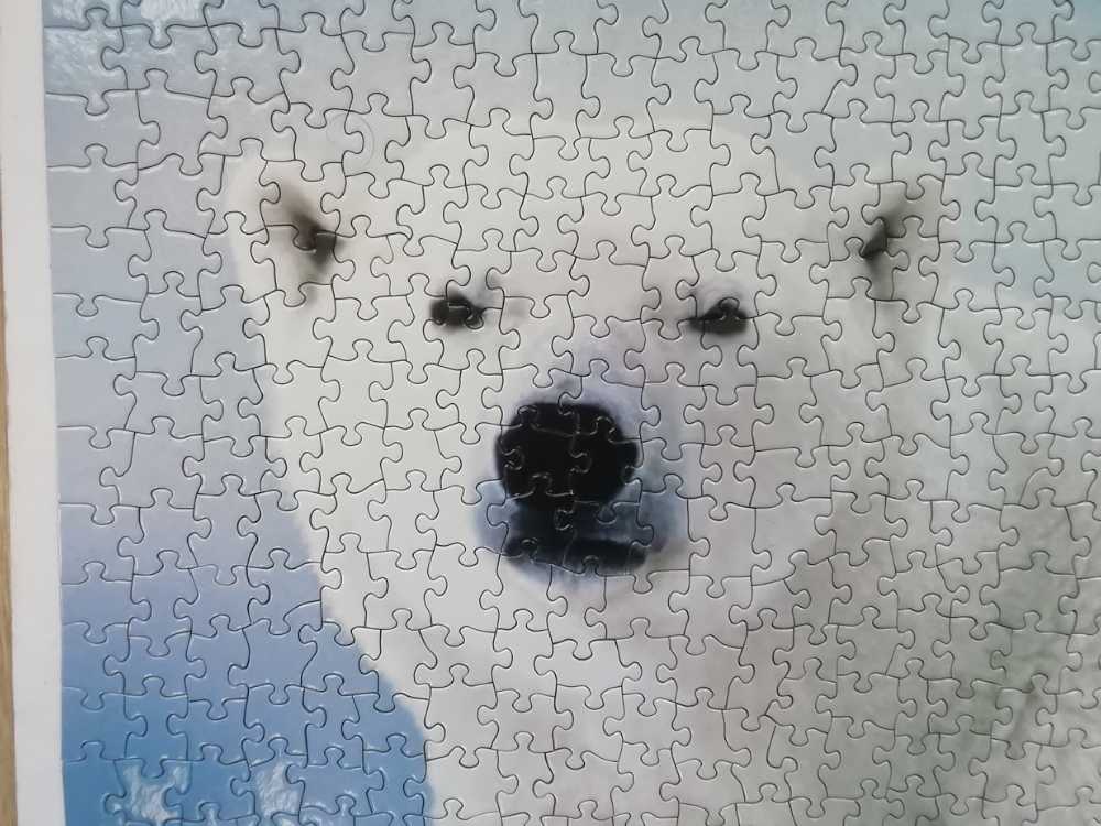 Polar Bear And Baby - Eurographics 🇨🇦 puzzle collectible [Barcode 628136611985] - Main Image 4