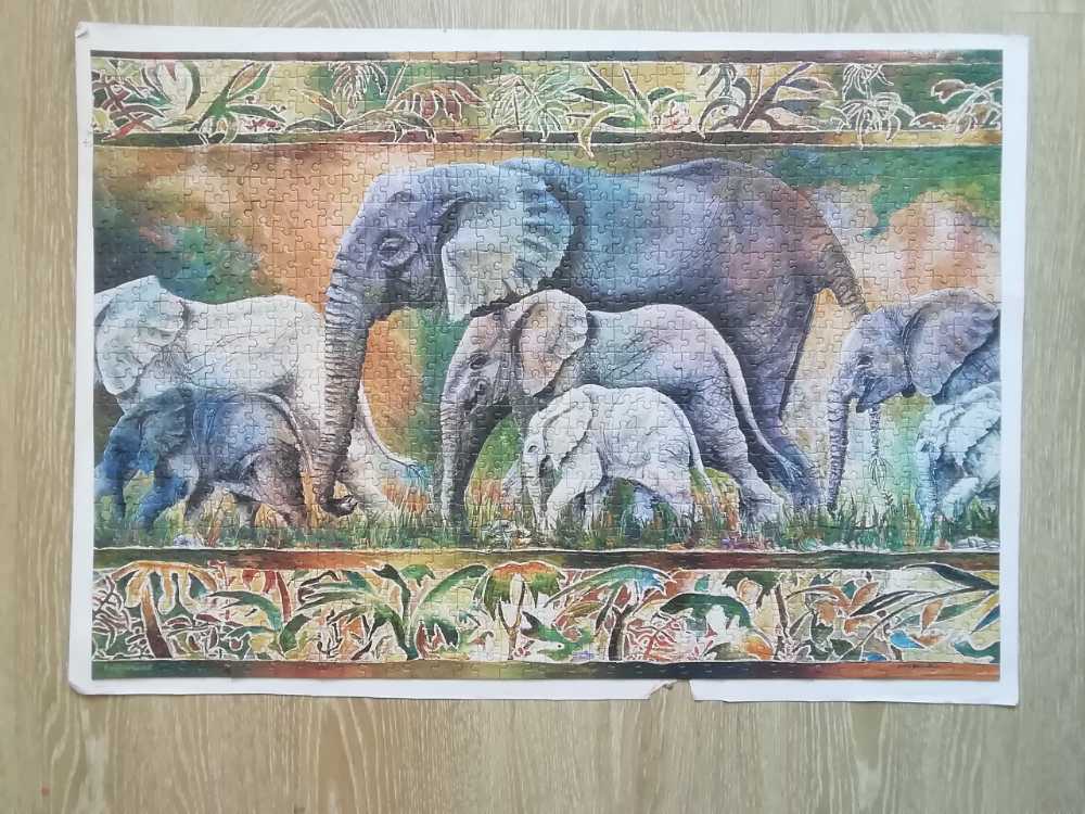 Parade Of Elephants - Castorland 🇵🇱 puzzle collectible [Barcode 5904438102747] - Main Image 3