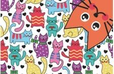 Rainbows And Unicorns