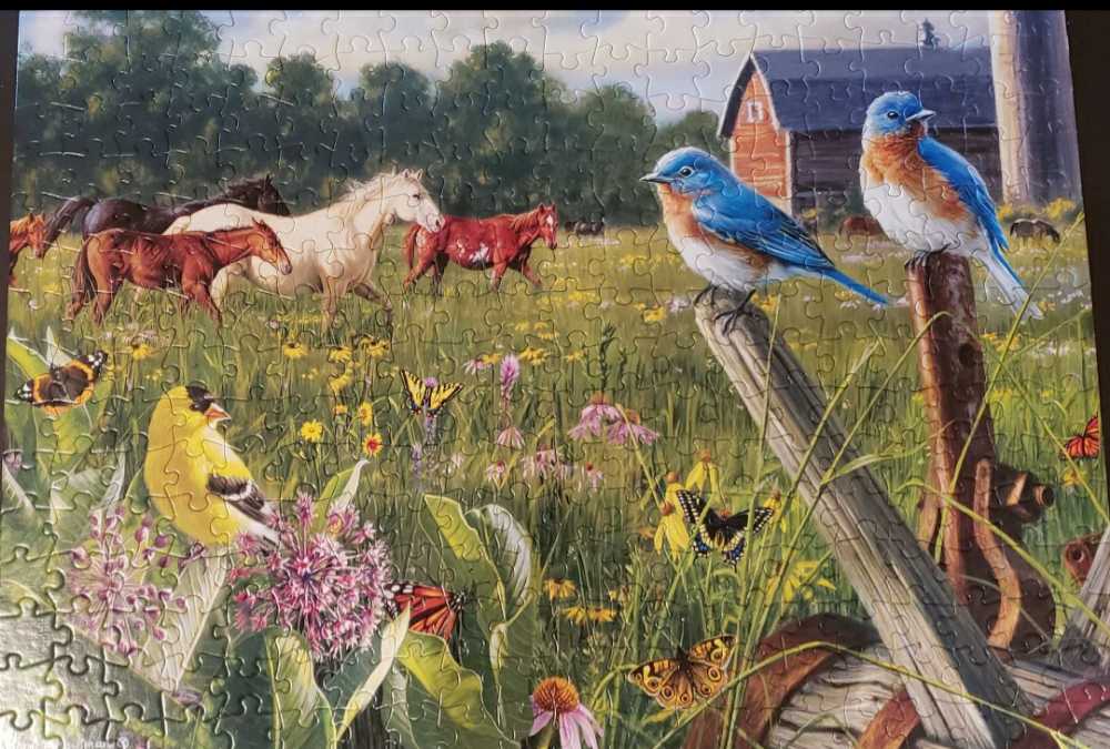 Country Meadow - Buffalo puzzle collectible [Barcode 079346112067] - Main Image 2