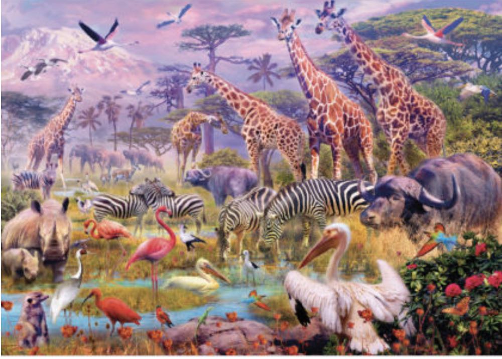 Cinderellas Grand Arrival