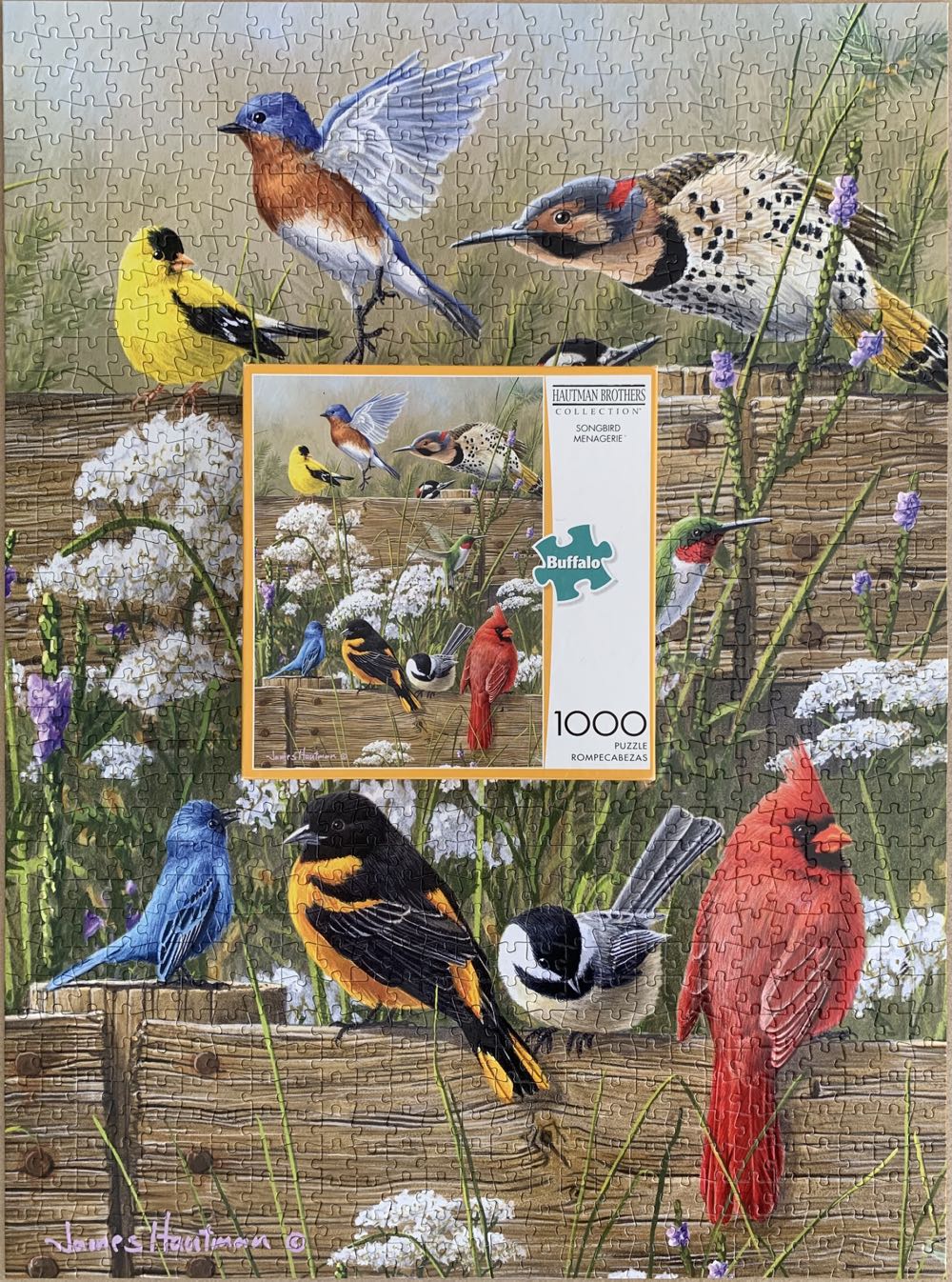 Songbird Menagerie - Buffalo puzzle collectible [Barcode 079346111657] - Main Image 2