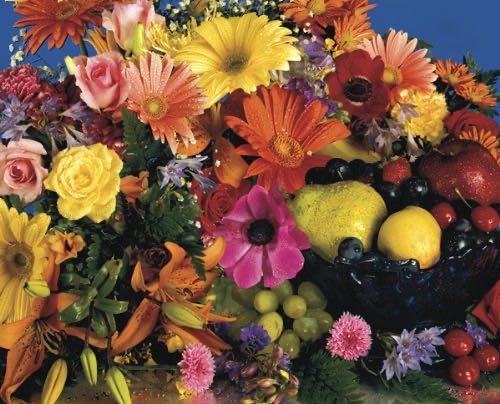 Noah’s Ark Animal Puzzle For Adults And Kids | Difficult Piece Jigsaw Puzzle Toy | Fun Quarantine Gifts | Interactive Brain Teaser For Game Night | 28 X 20 Inches