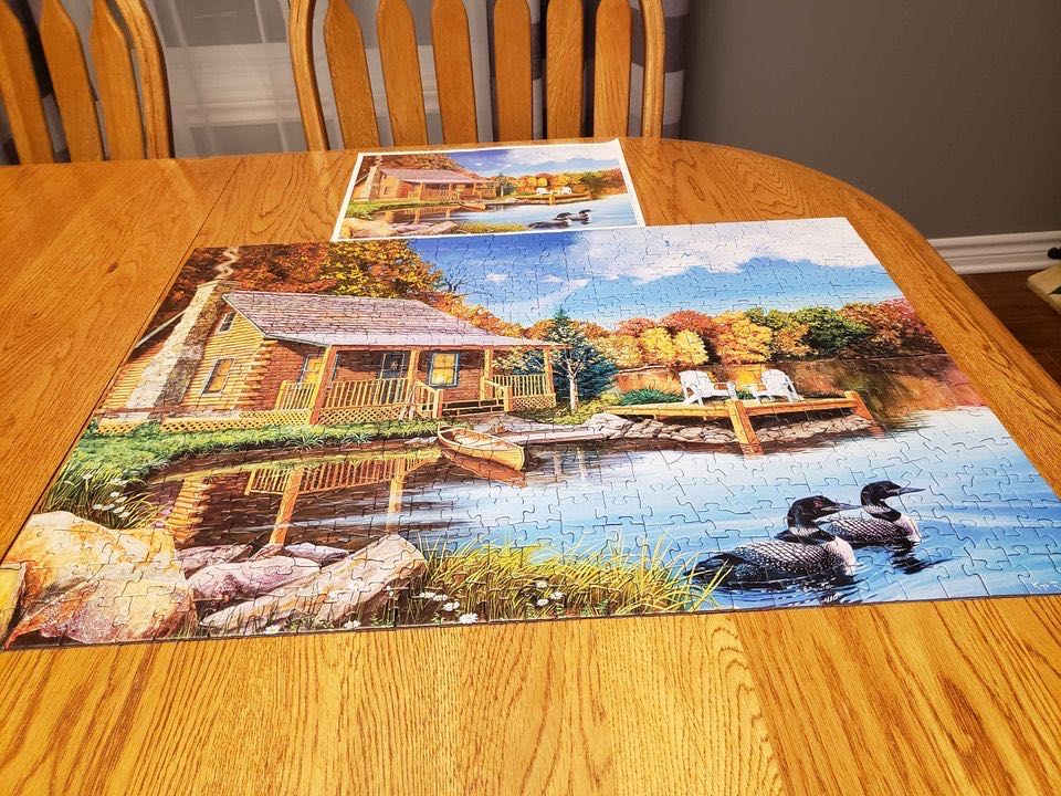 Iris Cove Loons - Cobble Hill puzzle collectible [Barcode 625012850698] - Main Image 2