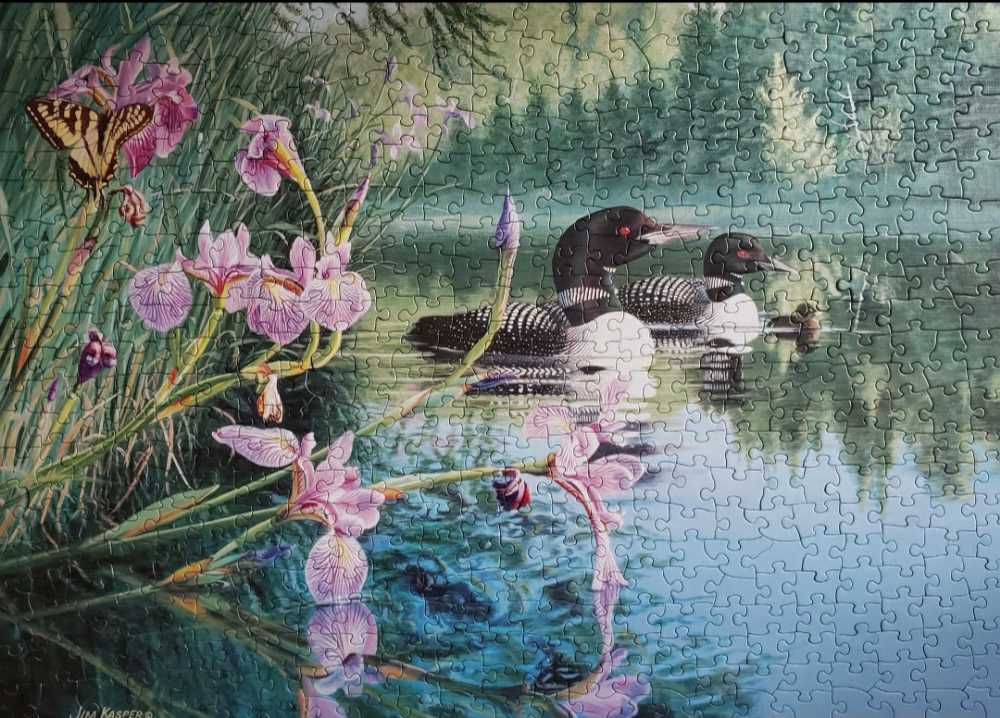 Iris Cove Loons - Cobble Hill puzzle collectible [Barcode 625012850698] - Main Image 3