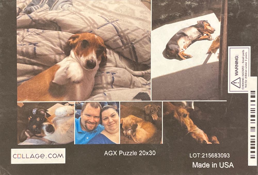 Rooftops & Pageantry🔴