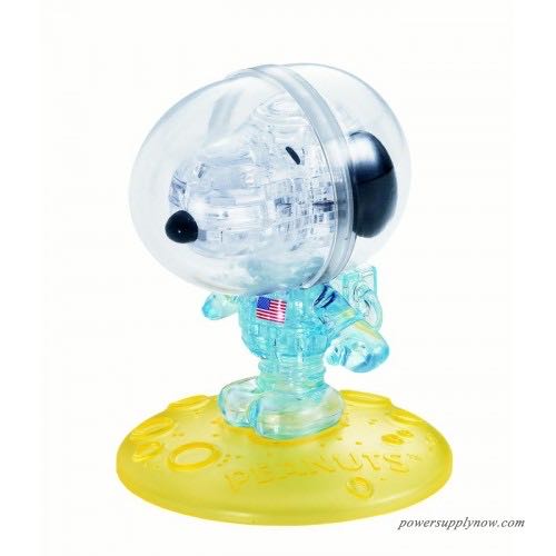 Cacti And Succulents