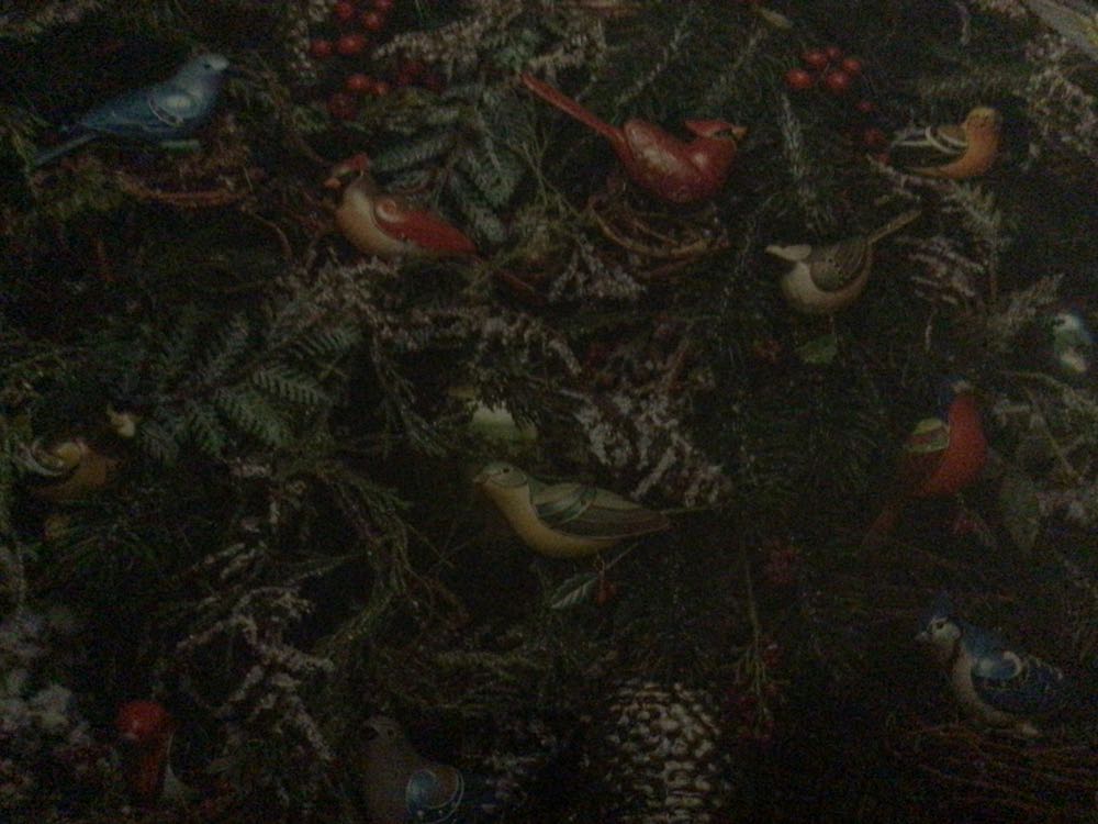 San Francisco - From Cheryl