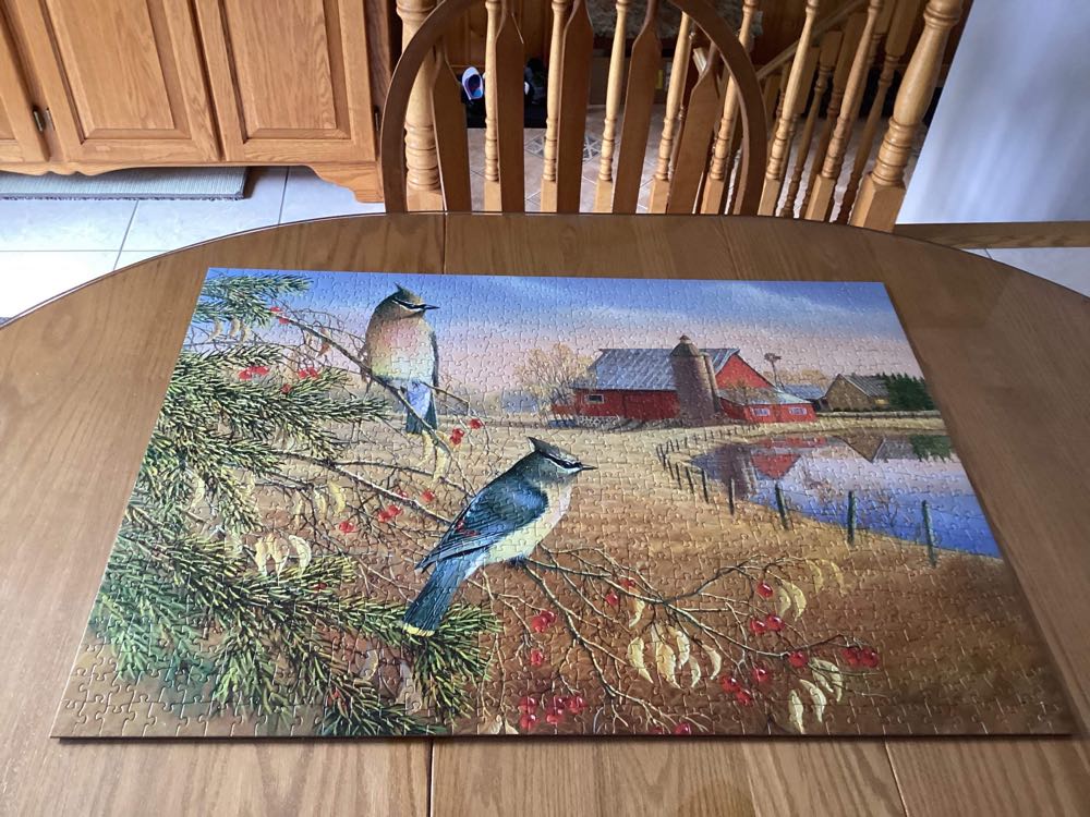 Cedar Waxwings - Cobble Hill puzzle collectible [Barcode 625012801898] - Main Image 2