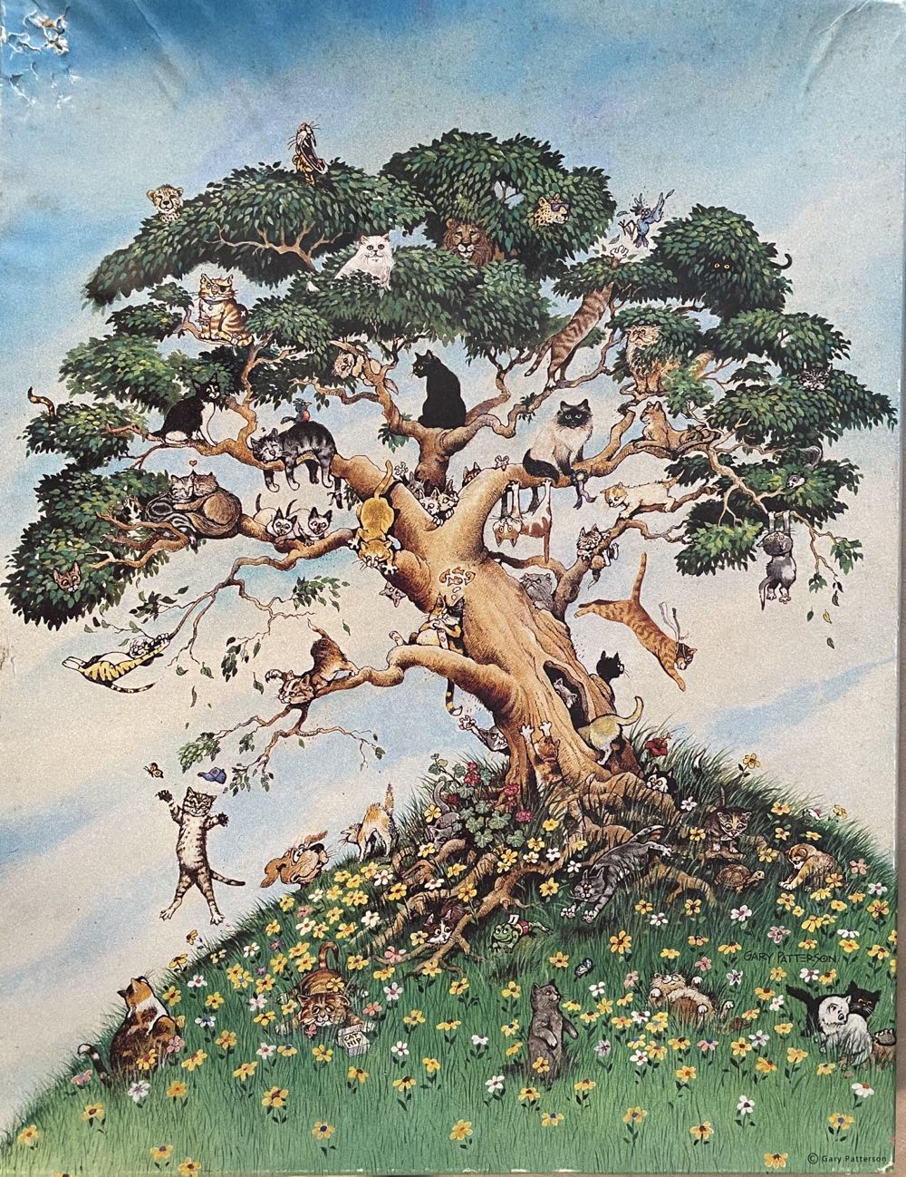 Travellers Rest Tamara2