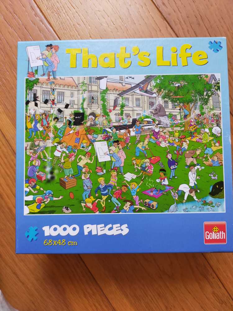 Feline Reflection 1000pc Jigsaw Puzzle By Ravensburger Discon ...