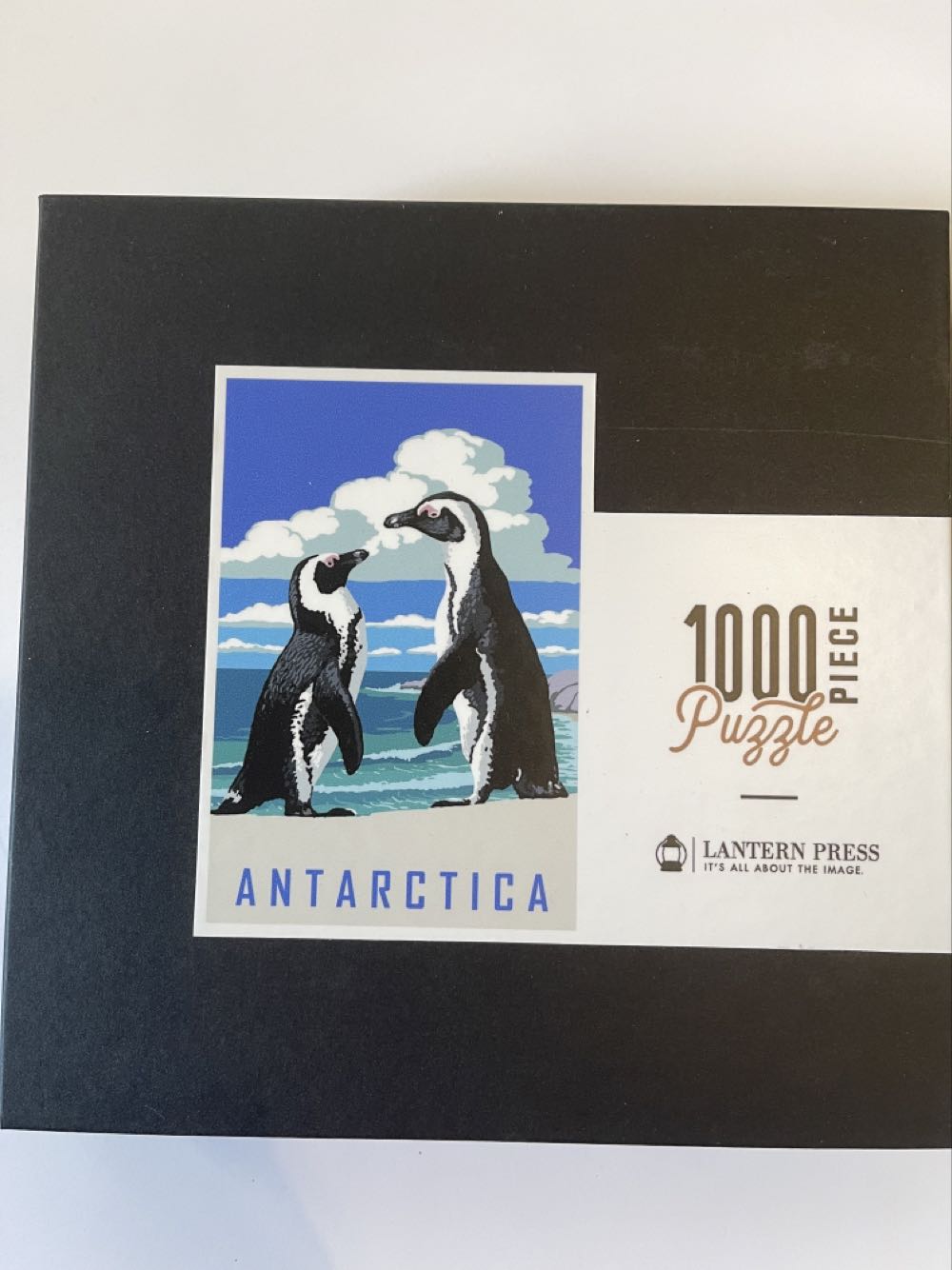 Panther Elephant Lion