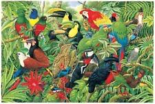 Italy’s Cinque Terre 💎