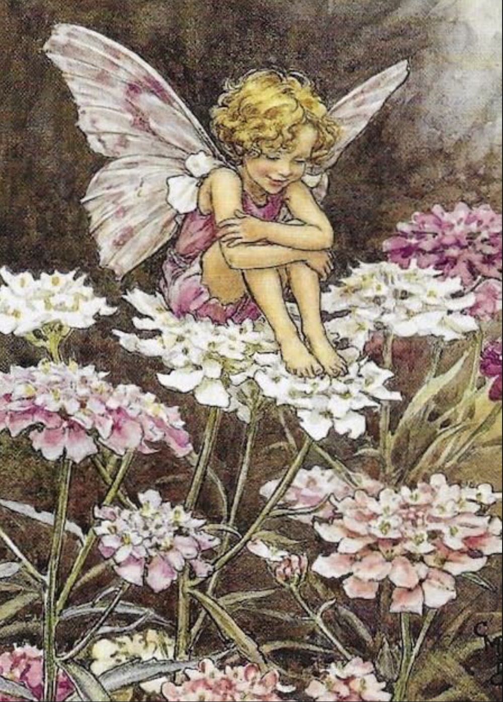 Flower Fairies Candytuft Fairy🟦 - Master - Line puzzle collectible [Barcode 8711597500591] - Main Image 2