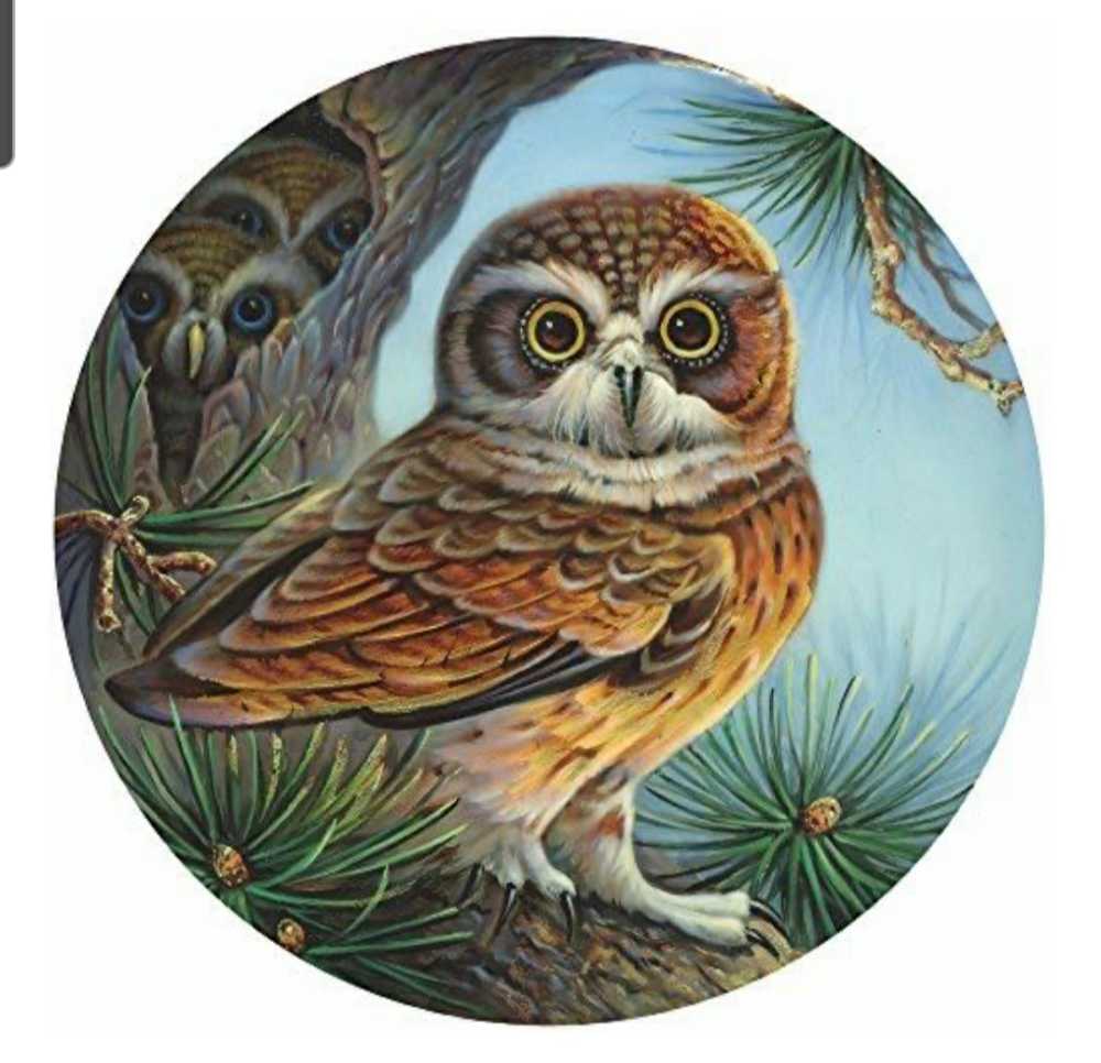 Owl And Chicks - Bits And Pieces puzzle collectible [Barcode 192949021120] - Main Image 4