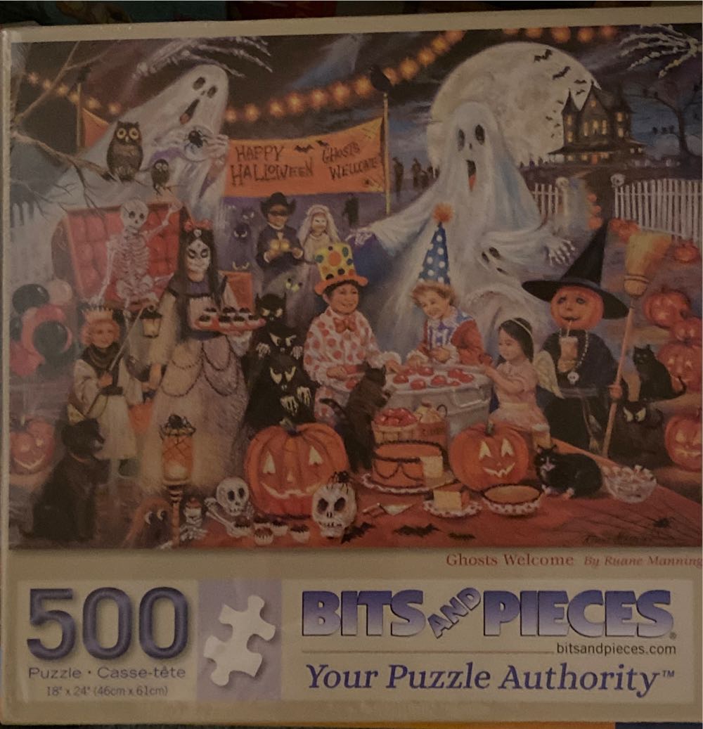 Fifty States And One Flag