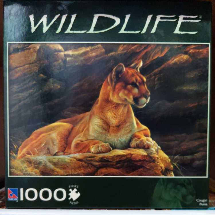 Image 38940