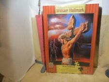 Bottle nose Dolphins