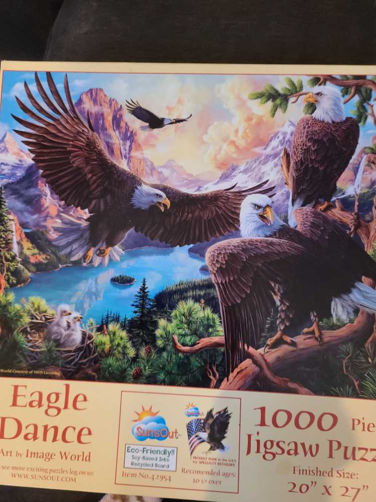 Evening Light On The Sunflowers