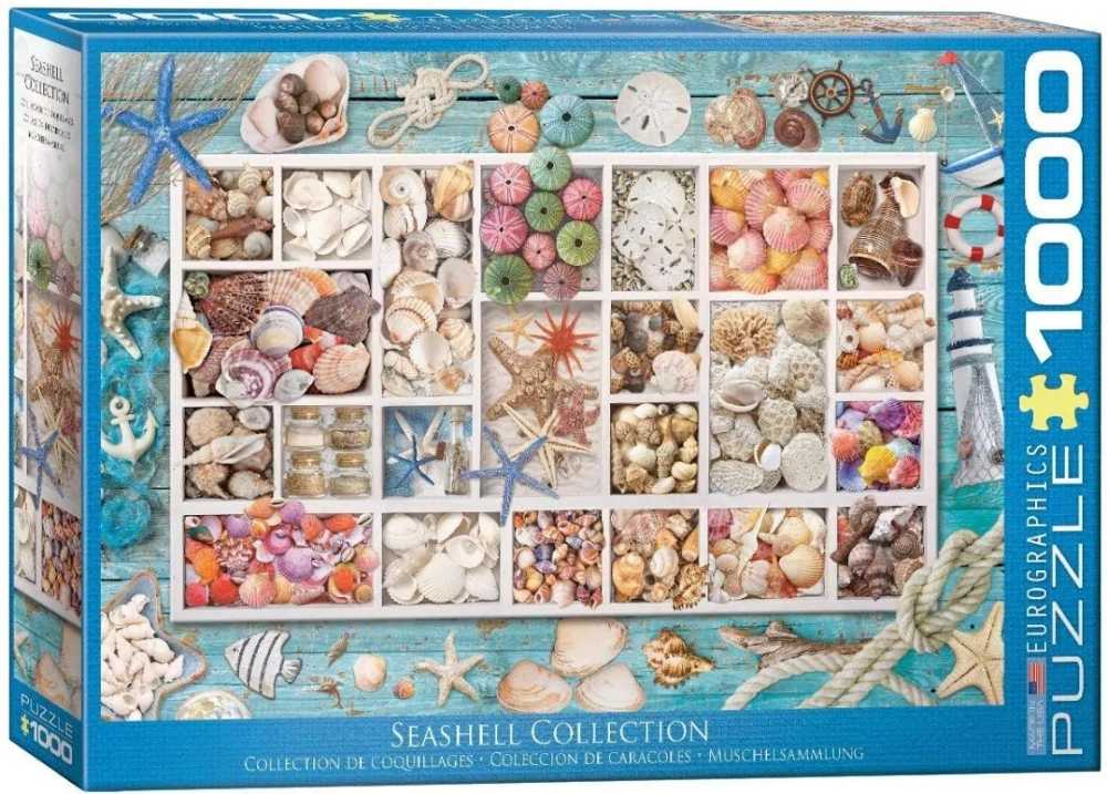 Seashell Collection - EuroGraphics puzzle collectible - Main Image 2