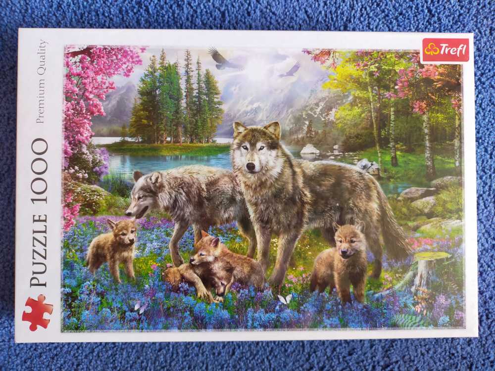 Image 39204