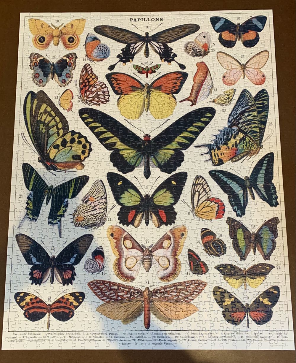 Butterflies (PC) 💎 - Cavallini & Co puzzle collectible [Barcode 9781635448719] - Main Image 3