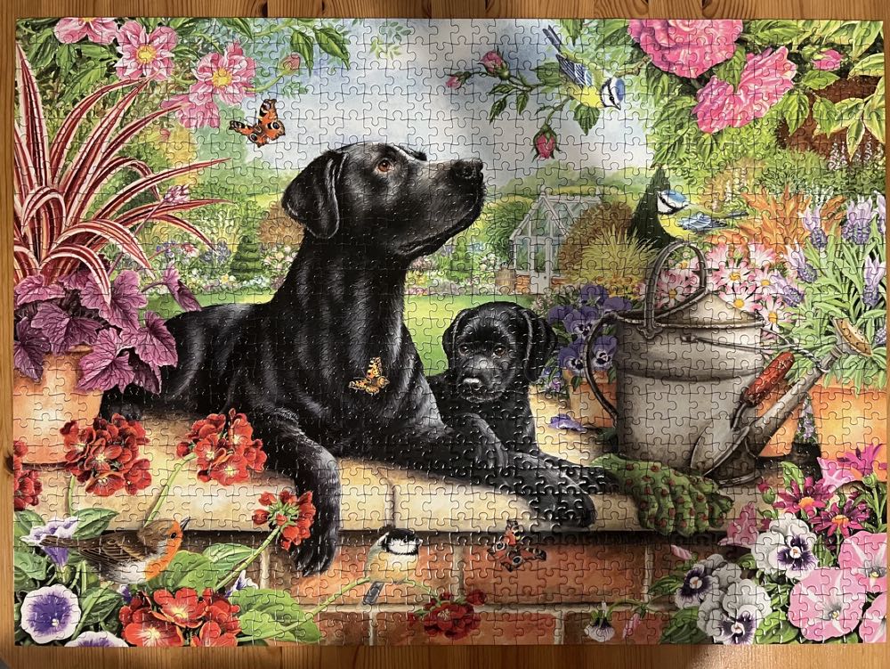 Black Labrador & Pup - Otter House puzzle collectible [Barcode 5017680058424] - Main Image 2