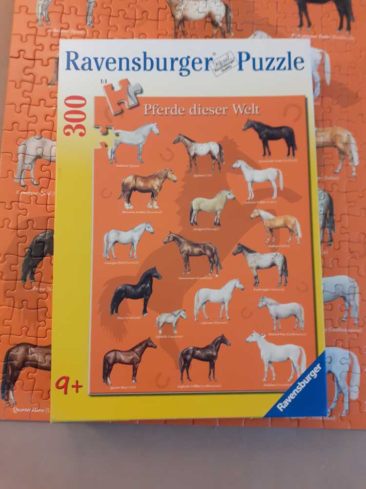 Bellatrix Lestrange Puzzle