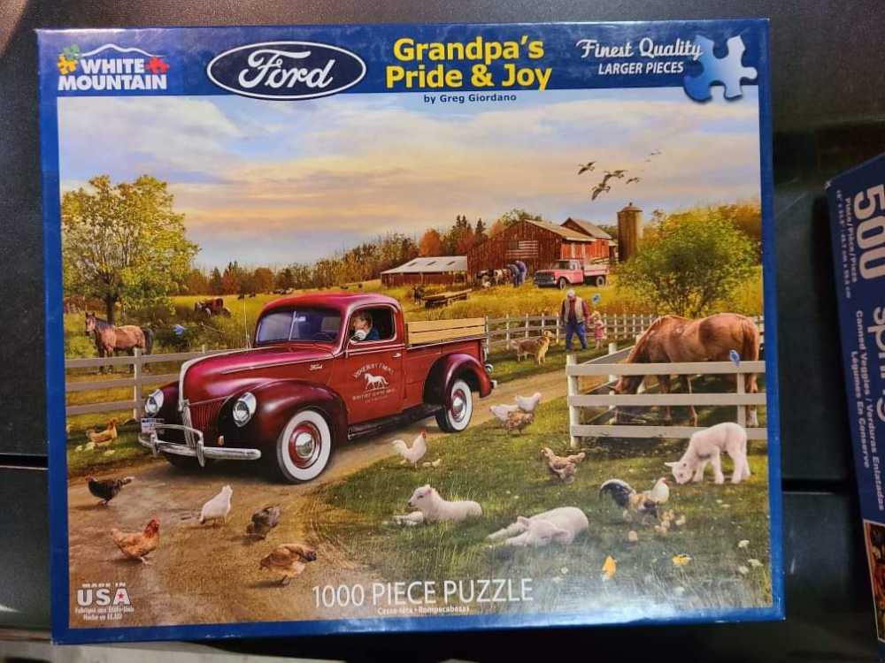 Magical Dragon Forest