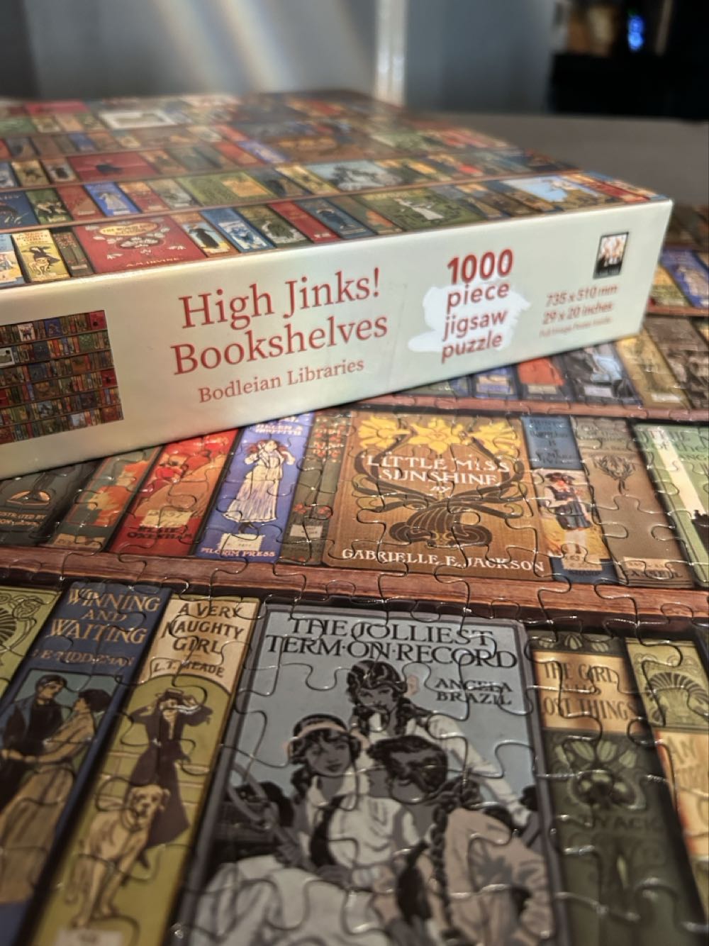 High Jinks! Bookshelves - Flame Tree Publishing puzzle collectible [Barcode 9781786646354] - Main Image 3