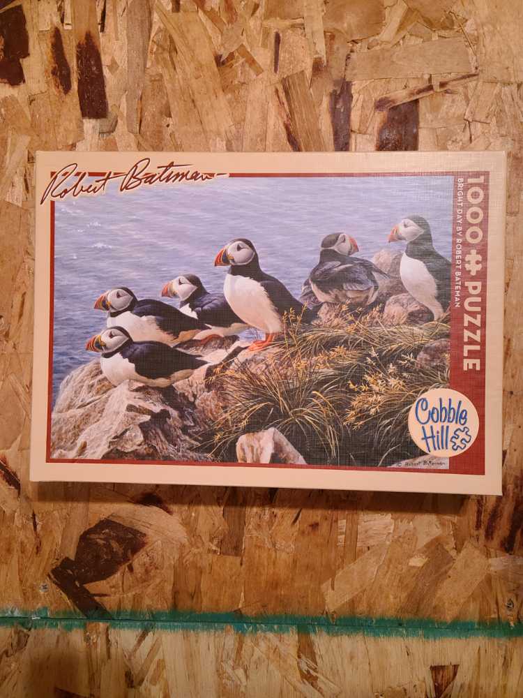 Bright Day - Cobble Hill puzzle collectible [Barcode 625012517676] - Main Image 2