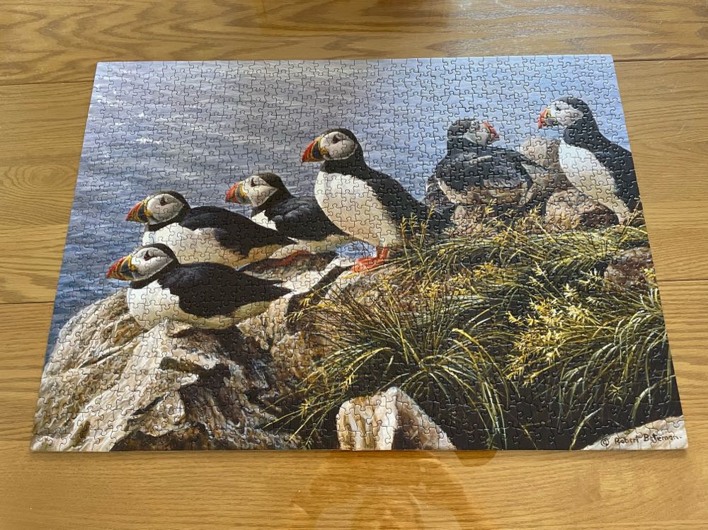 Bright Day - Cobble Hill puzzle collectible [Barcode 625012517676] - Main Image 3