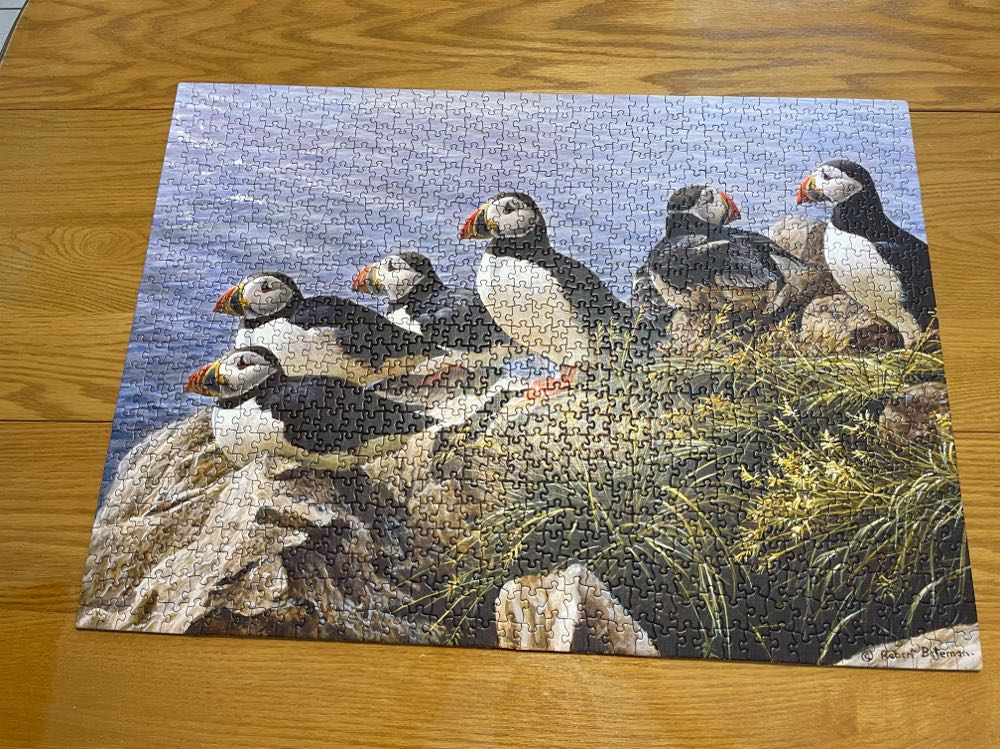 Bright Day - Cobble Hill puzzle collectible [Barcode 625012517676] - Main Image 4