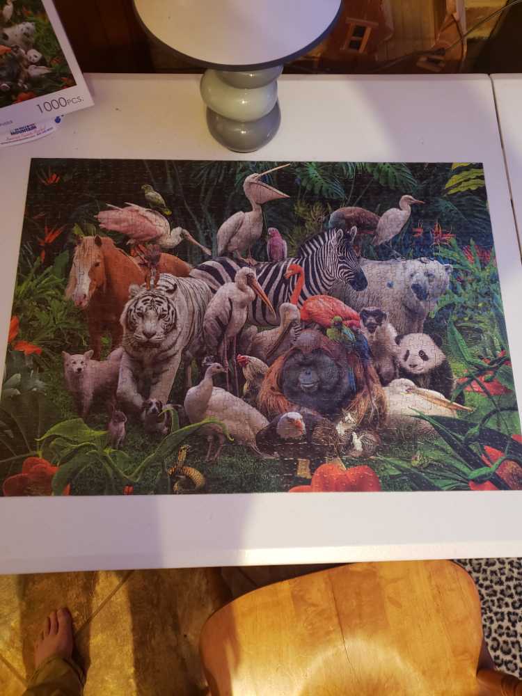 Animal World - EAKI puzzle collectible - Main Image 2